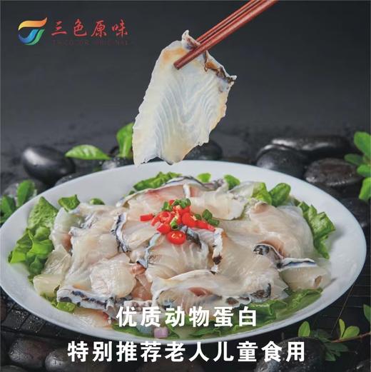 三色原味 海康黑鲷鱼片250g 商品图0