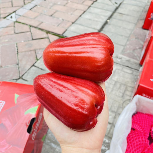 海南空运 黑金刚莲雾 商品图6