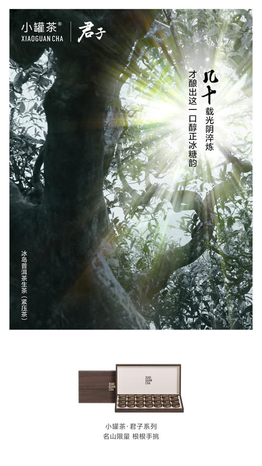 【商务送礼】小罐茶君子系列冰岛普洱马头岩肉桂福鼎白茶叶礼盒装112g 商品图8