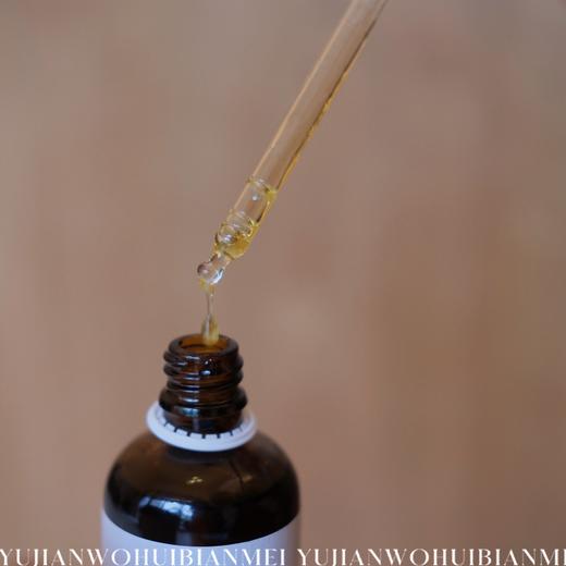 肾嘘不分男女｜捷克安能聚肾能源口服液调 商品图2