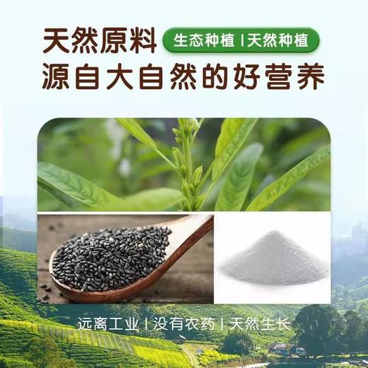 南园国色婴儿盐宝宝辅食黑芝麻盐40g调味芝麻粉辅食粉拌饭料40g 商品图2