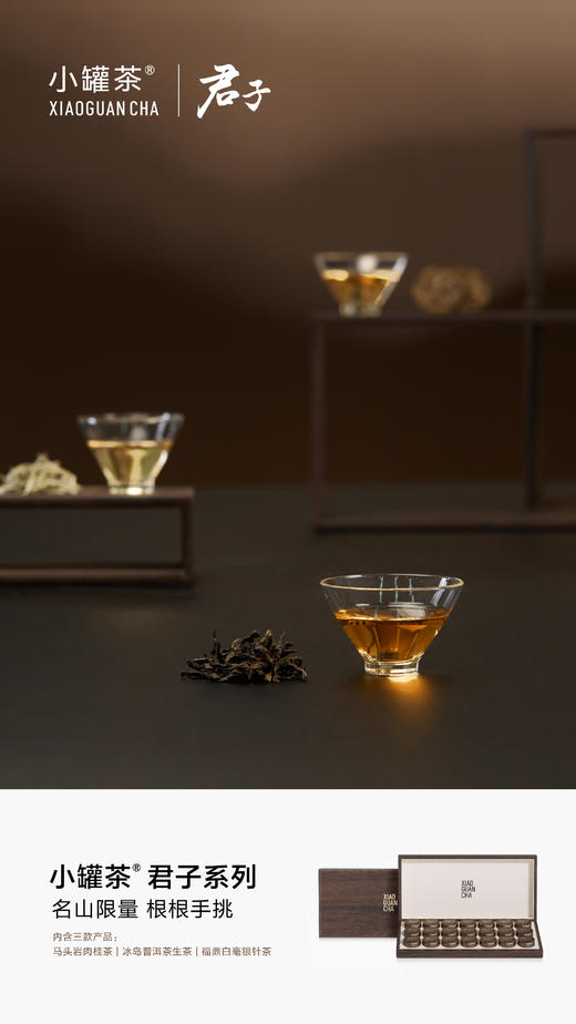 【商务送礼】小罐茶君子系列冰岛普洱马头岩肉桂福鼎白茶叶礼盒装112g 商品图14