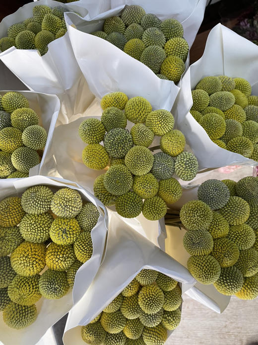 【永远幸福】黄金球  18-20支/扎 商品图9