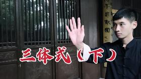 2三体式的自我校验