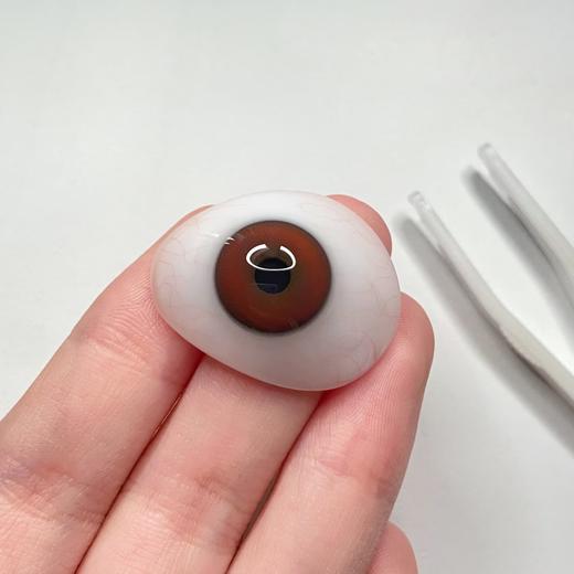 Amore品牌--红珠子（融瞳很好，日常也可以戴的红色） 0/350/375/400/450/500/550/700/800缺 商品图3