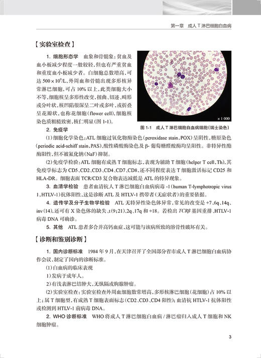 少见血液病 沈建箴主编 供住院医师规范化培训血液专业等用 血液科医师学习日常工作参考资料 人民卫生出版社9787117324335 商品图4