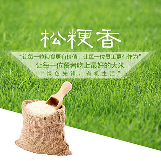 黑龙江松粳香5kg五常稻花香米真空包装 五常水稻研究所出品 商品图2