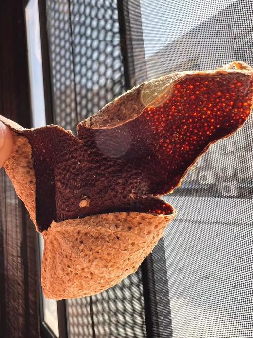 2010年梅江圈枝陈皮 新会陈皮 生晒自然陈化 商品图4