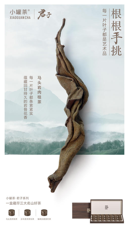 【商务送礼】小罐茶君子系列冰岛普洱马头岩肉桂福鼎白茶叶礼盒装112g 商品图11