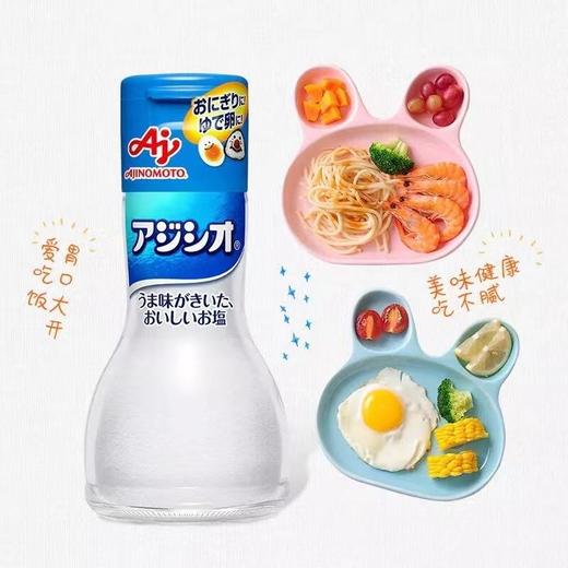 日本味之素宝宝调味盐110g婴儿调味品辅食宝宝辅食儿童食用盐调料 商品图1