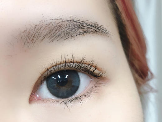 DorisCon旗下 黑莓冻&榛子酱  14.5mm白狮参考着色中大直径  韩产半年抛2片 商品图1