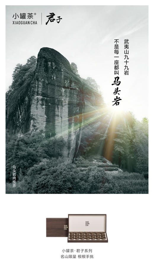 【商务送礼】小罐茶君子系列冰岛普洱马头岩肉桂福鼎白茶叶礼盒装112g 商品图7