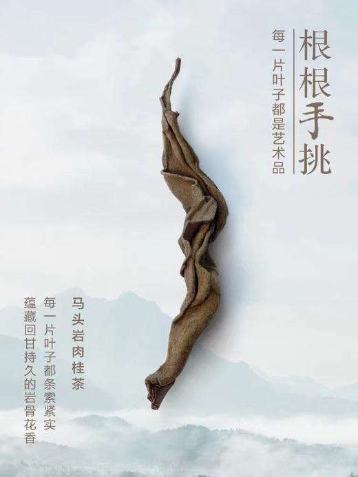 【商务送礼】小罐茶君子系列冰岛普洱马头岩肉桂福鼎白茶叶礼盒装112g 商品图4