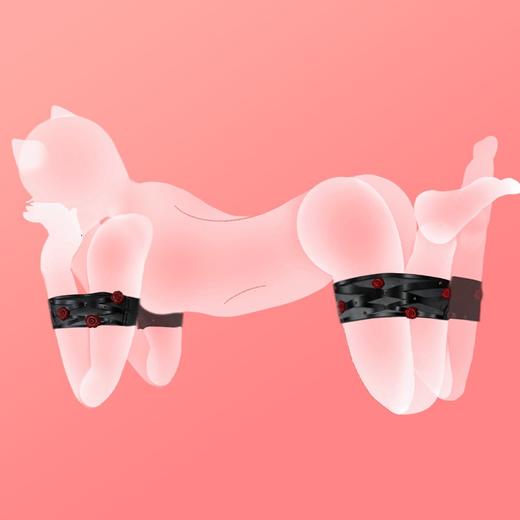 【荆棘玫瑰】系列 束手束腿小狗跪地爬行套装 商品图1