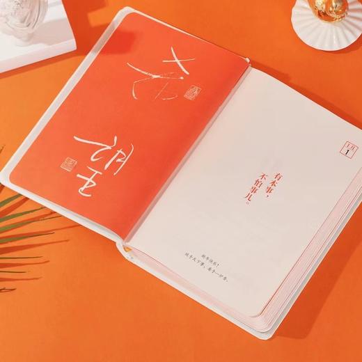 今宵欢乐多 商品图4