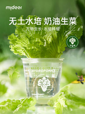 mideer弥鹿水培阳光种植房儿童玩具科学小实验套装植物生长观察盒