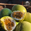 生态百香果（云南） | 合作生产*Eco-sweet  passion fruit | Coproduction 商品缩略图2