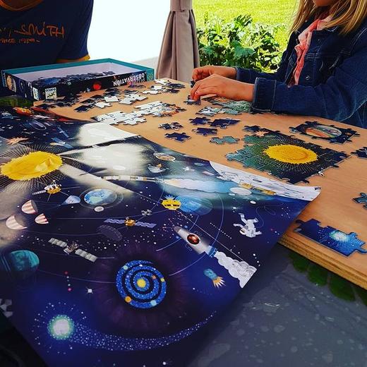 DJECO观察拼图集合（拼图连连看，培养专注力观察力提高记忆力，练眼神）RX 商品图10