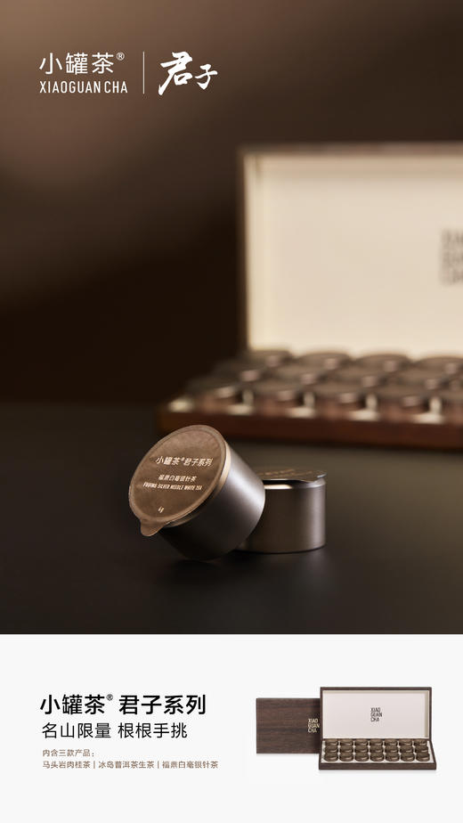 【商务送礼】小罐茶君子系列冰岛普洱马头岩肉桂福鼎白茶叶礼盒装112g 商品图13
