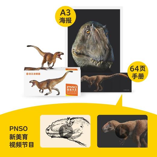 PNSO羽王龙银器恐龙大王成长陪伴模型52 商品图4