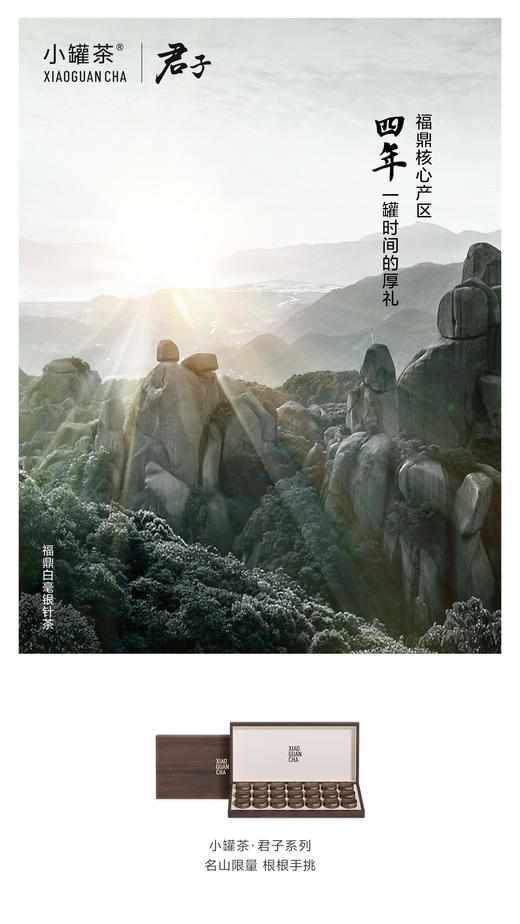 【商务送礼】小罐茶君子系列冰岛普洱马头岩肉桂福鼎白茶叶礼盒装112g 商品图6