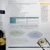 【中商原版】Cambridge IGCSE English as a Second Language Coursebook 剑桥英语作为第二语言教材 商品缩略图4