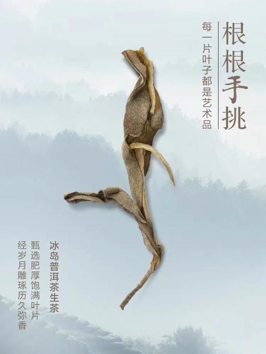 【商务送礼】小罐茶君子系列冰岛普洱马头岩肉桂福鼎白茶叶礼盒装112g 商品图3