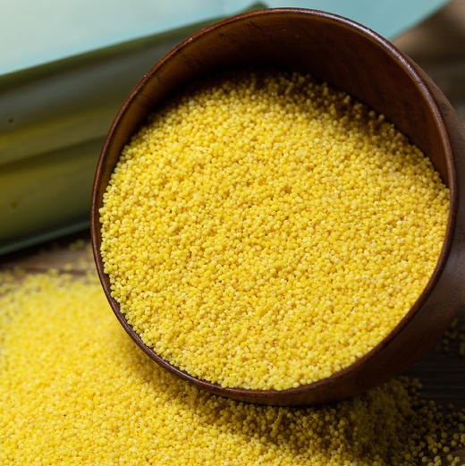 金灿灿小米 |  金黄透亮 粒粒分明 颗粒饱满无杂质 粘稠软糯 米香浓郁 营养健康 商品图3