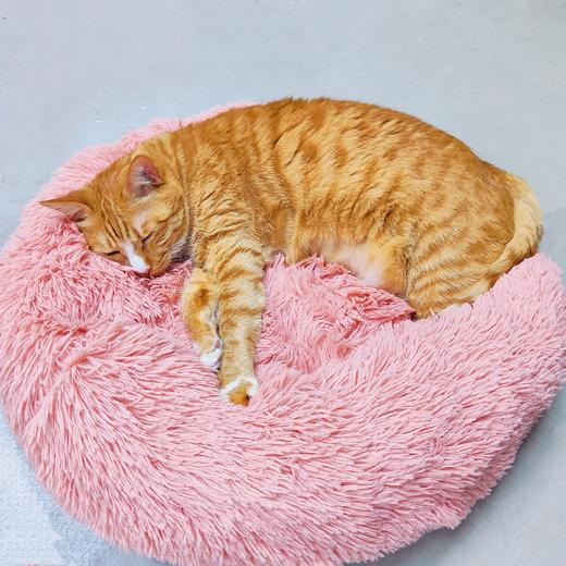 秋冬福利团 宠物长绒保暖舒适深度睡眠猫窝 20斤以内可睡可躺 商品图2