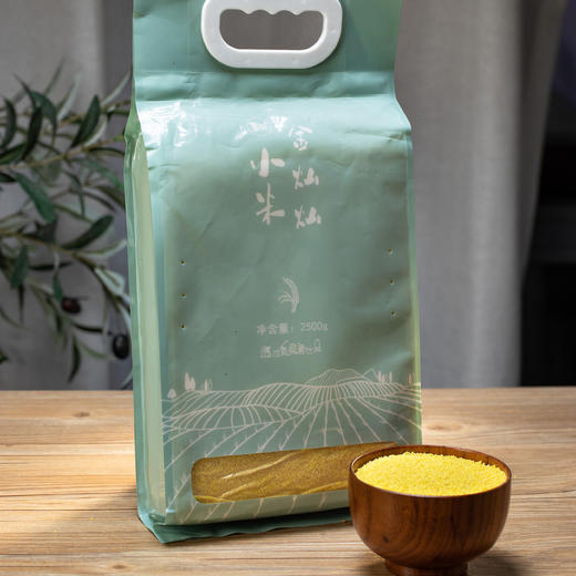 金灿灿小米 |  金黄透亮 粒粒分明 颗粒饱满无杂质 粘稠软糯 米香浓郁 营养健康 商品图7