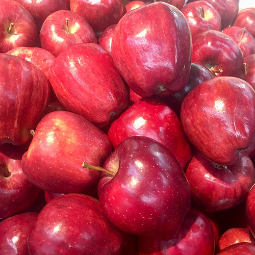 【1斤】花牛苹果 红蛇果小果1袋 (重约1斤)【当天可提货】 商品图11