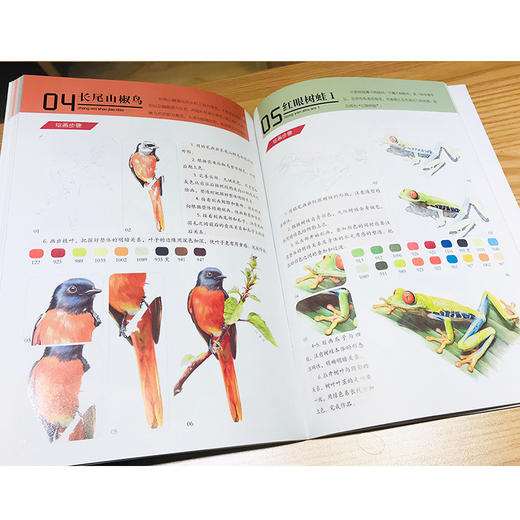 彩铅手绘从入门到精通 商品图3