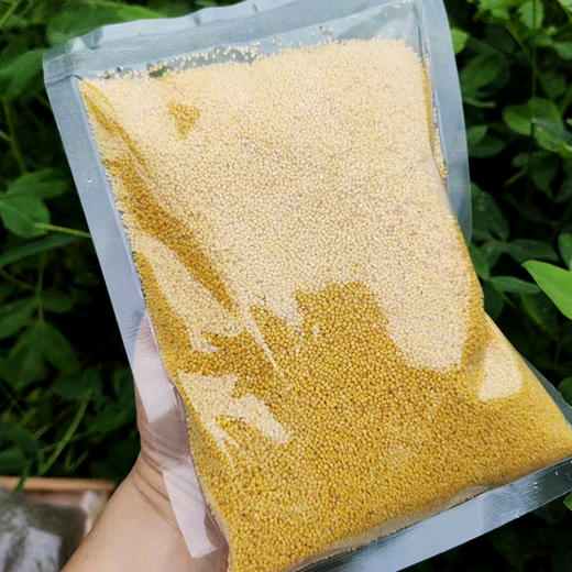 沂蒙山 血糯米&黄小米 2.5斤/袋*2袋 商品图4