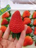 泡沫草莓一箱（拼团） 商品缩略图3