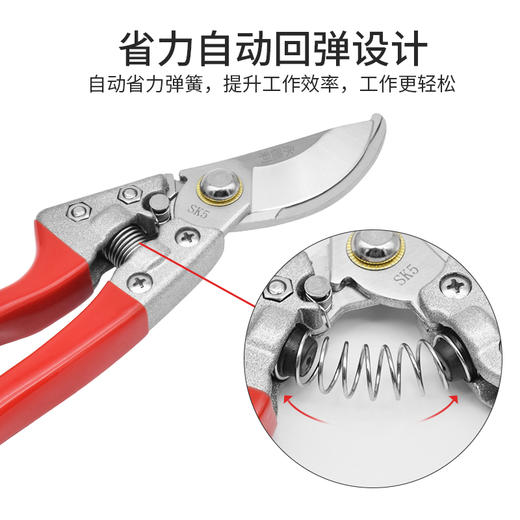 修枝剪树枝专用剪刀果树剪刀园林园艺剪永德利剪SK85钢锋利粗枝剪 商品图2
