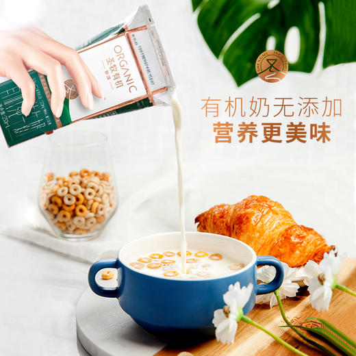 圣牧有机纯牛奶挚醇250ml*12盒【CZ】 商品图3