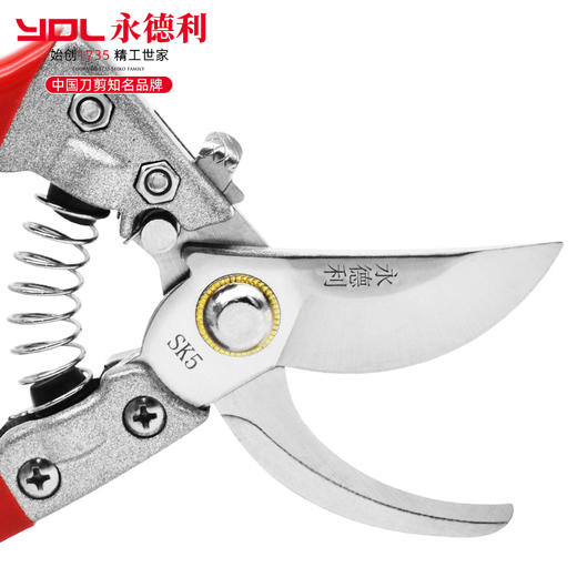 修枝剪树枝专用剪刀果树剪刀园林园艺剪永德利剪SK85钢锋利粗枝剪 商品图3