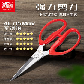 永德利厨房剪刀家用不锈钢强力鸡骨剪多功能肉骨烤肉杀鱼食物剪子