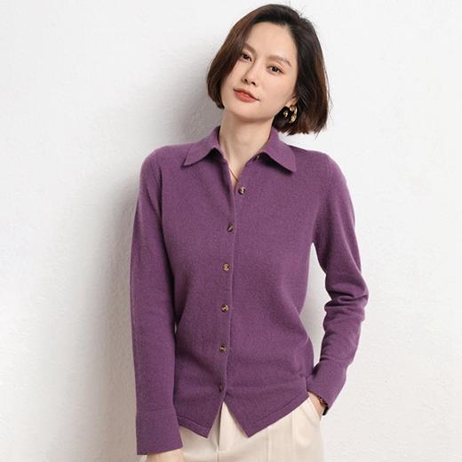 QHJY-JYPL2218秋季新款羊毛开衫外套衬衣领/POLO领毛衣外穿针织衫女式上衣 商品图4