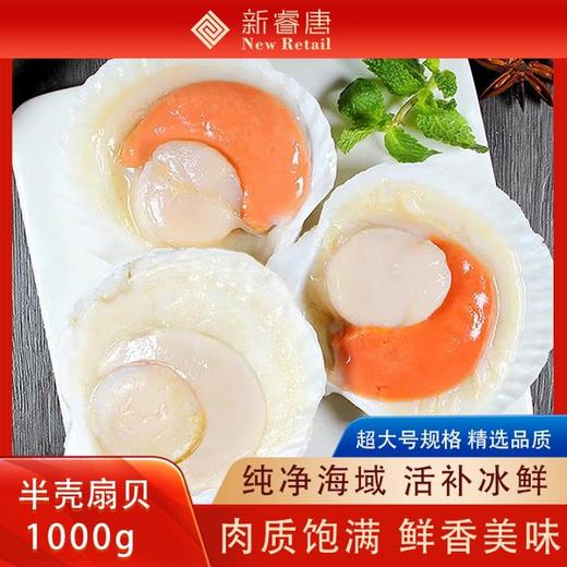 新睿唐冷冻半壳虾夷扇贝新鲜大号带黄扇贝肉精选品质1000g 商品图0