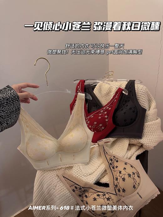 【应季好物】法式小苍兰微塑美体内衣318# 商品图4