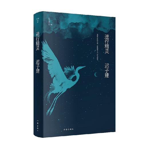 逆行精灵 迟子建作品 迟子建 著 小说 商品图0
