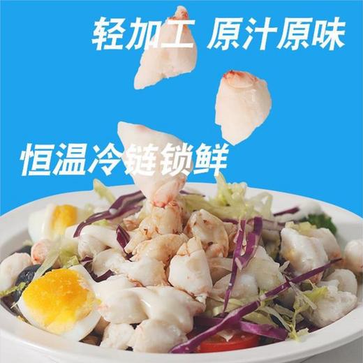 蟹肉罐头圆心肉纯蟹肉即食低卡净重1LB（454g） 商品图2
