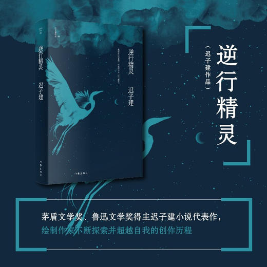 逆行精灵 迟子建作品 迟子建 著 小说 商品图1