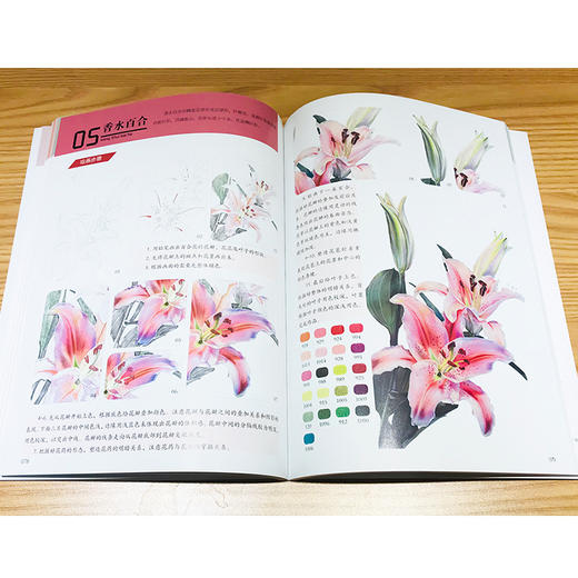 彩铅手绘从入门到精通 商品图2