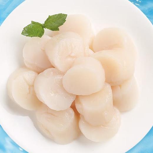 超大鲜活冷冻带子肉帆立扇贝柱精选品质海鲜水产1000g 商品图2