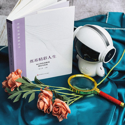 奠基精彩人生 中小学生涯教育理论与实务 学校生涯教育丛书 商品图3