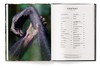 【现货】Jungle Spirits | 丛林精神 野生动植物摄影集 商品缩略图1