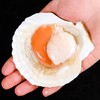 新睿唐冷冻半壳虾夷扇贝新鲜大号带黄扇贝肉精选品质1000g 商品缩略图3