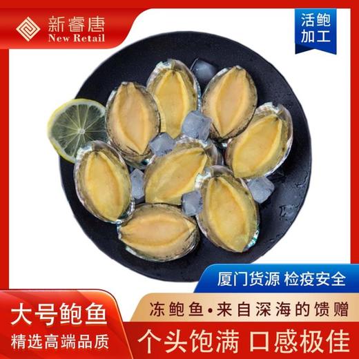 冻鲍鱼活鲍加工速冻生制调味水产制品250g±10 商品图0